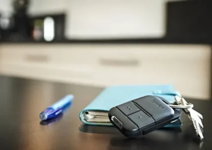 Napęd do bramy skrzydłowej - Somfy Exavia Star - obrazek 8